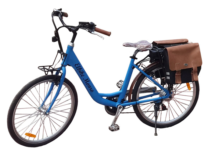 Elbike dacha электровелосипед двухместный