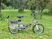 Электровелосипед GreenCamel Транк 20 V8 (R20 250W 60V 20Ah) - Фото 1