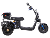 Электротрицикл SKYBOARD Irtysh TRIKE BR40-3000 PRO FAST OFF-ROAD - Фото 7