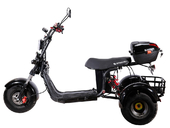 Электротрицикл SKYBOARD TRIKE BR40-3000 PRO - Фото 5