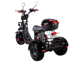 Электротрицикл SKYBOARD TRIKE BR40-3000 PRO - Фото 6