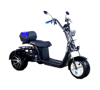 SKYBOARD MyRussia TRIKE BR60-3000 PRO FAST