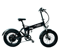 Elbike Matrix Vip 13