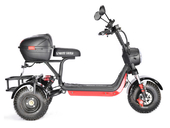 Электротрицикл WHITE SIBERIA TRIKE MINI 1500W - Фото 6