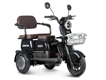 Электротрицикл Gelbert Sun (черный) 48V/60V 650Вт